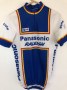 Image of Panasonic-Raleigh jersey